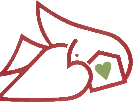 Casa Pacifica's red dove ornament with a green heart, the card each young person's wishes are written on.